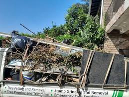 Best Shed Removal  in Cascade, IA